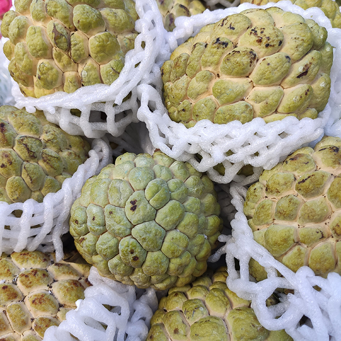 Mãng cầu na